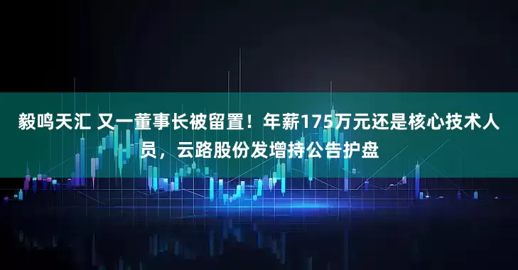 毅鸣天汇 又一董事长被留置！年薪175万元还是核心技术人员，云路股份发增持公告护盘