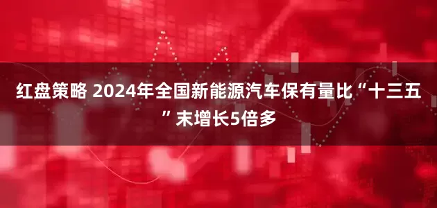 红盘策略 2024年全国新能源汽车保有量比“十三五”末增长5倍多