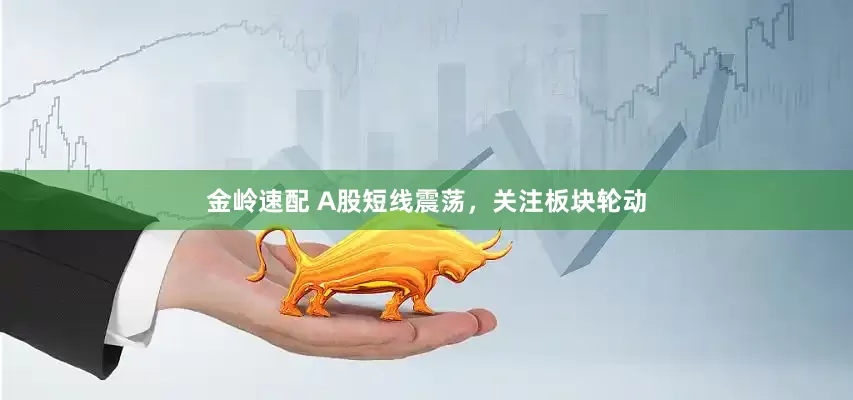 金岭速配 A股短线震荡，关注板块轮动