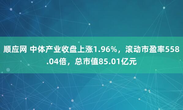 顺应网 中体产业收盘上涨1.96%，滚动市盈率558.04倍，总市值85.01亿元