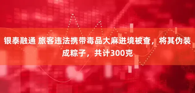 银泰融通 旅客违法携带毒品大麻进境被查，将其伪装成粽子，共计300克